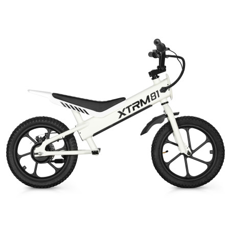 Draisienne électrique pour enfant 36V 350W DX 16